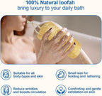 Natural Loofah Sponge, 6“ Natural Loofah Exfoliating Body Scrubber Egyptian - Image 2