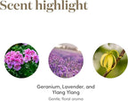 Young Living Gentle Baby Oil Blend | 15ml | Gentle Aroma - Image 5