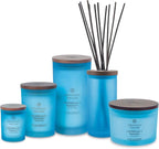 Chesapeake Bay Candle Scented Candle Confidence + Freedom Medium Home Décor - Image 3