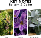 Xcleen Reed Diffusers for Home, Balsam & Cedar Diffuser - Image 4