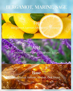M&SENSE Ocean Waters Scented Candles Summer Soy Candle, Beach Candle - Image 4