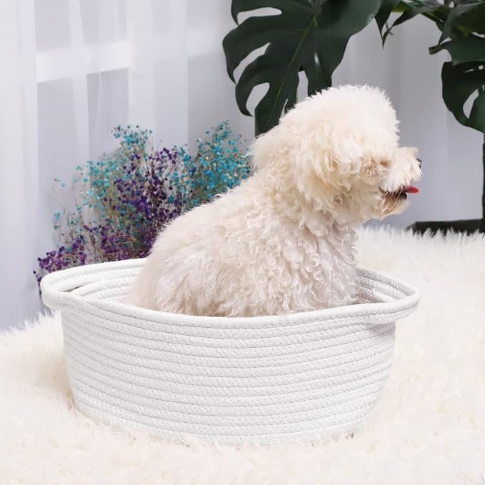 ABenkle Small Basket with Handles, Boho Decorative Rope Woven Dog Cat Toy - Image 3