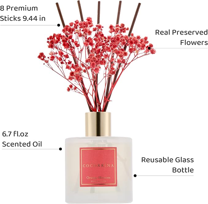 COCORRÍNA Reed Diffuser - Image 5