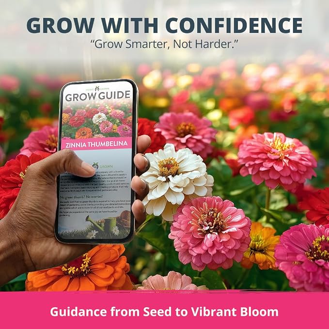 HOME GROWN Thumbelina Zinnia Seeds – 500 Dwarf Zinnia - Image 8