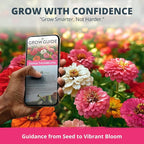 HOME GROWN Thumbelina Zinnia Seeds – 500 Dwarf Zinnia - Image 8