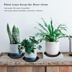 5 Pack of 14 inch Plant Saucer Plant Tray, Plastic Plant Saucer 14 inch - Image 4