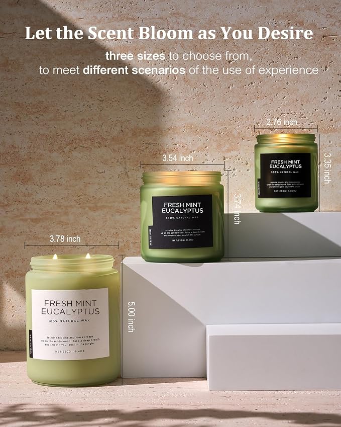 M&SENSE Eucalyptus & Mint Scented Jar Candle, Large 19.4oz Natural Soy Wax - Image 6
