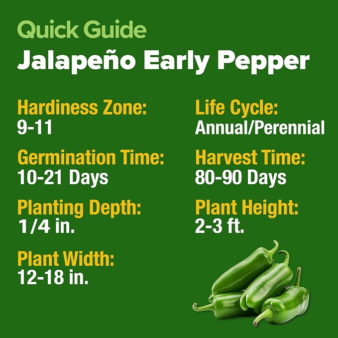 HOME GROWN Jalapeno Pepper Seeds 129+ Heirloom Non-GMO Seeds - Image 5