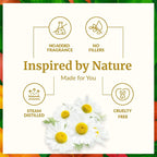 SVA Chamomile Essential Oil – 1/3 Fl Oz – 100% Natural Chamomile Oil - Image 3