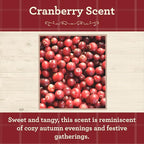 Our Own Candle Company, Cranberry Scented Mason Jar Candle, 100 Hour Burn Time - Image 2