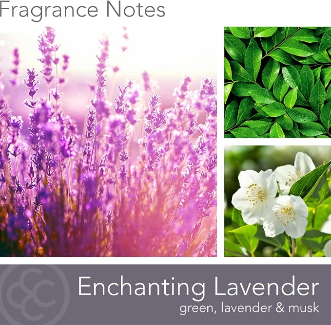 Carolina Enchanting Lavender Scented Candle, 16 oz Wellness Relaxing - Image 2