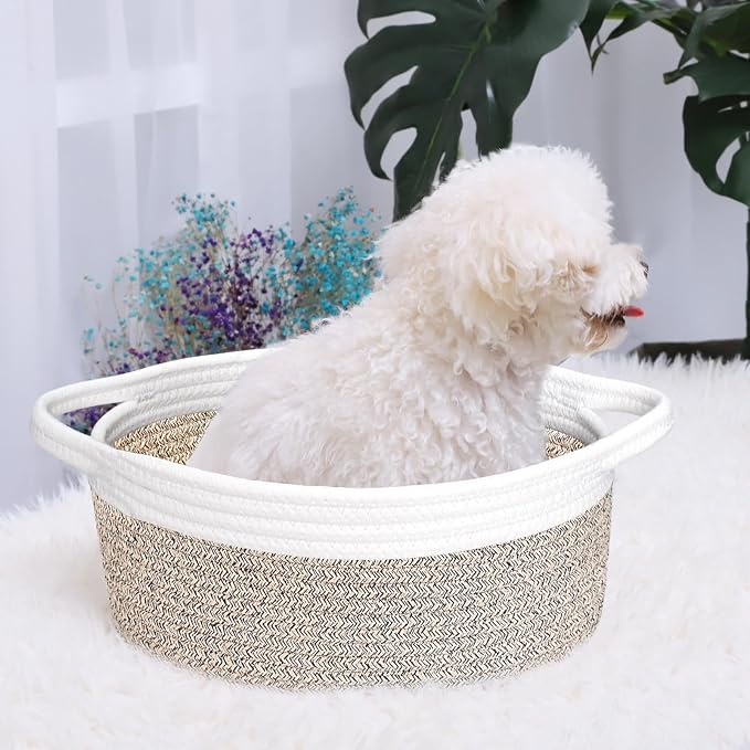 ABenkle Small Woven Basket, Cat & Dog Toys, Gift Box - Image 3