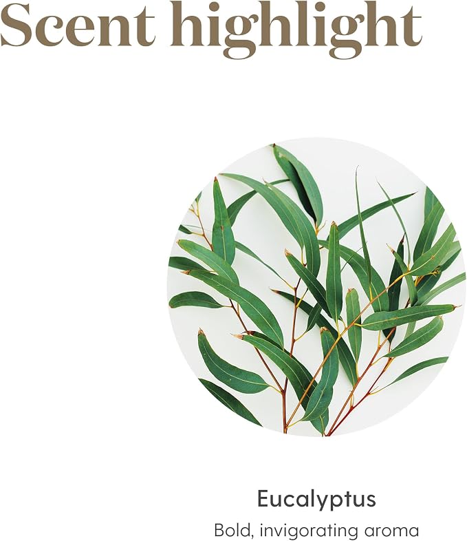 Eucalyptus Radiata Essential Oil 15ml by Young Living Essential Oils - Image 5