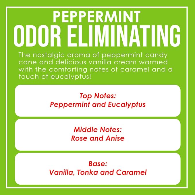 Peppermint Odor Eliminating Highly Fragranced Candle - Image 4