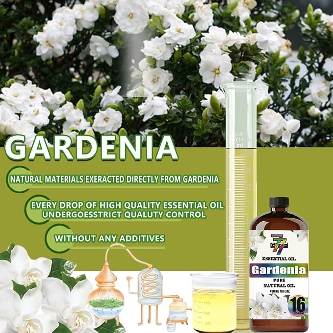 Gardenia Essential Oil - Image 8