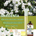 Gardenia Essential Oil - Image 8
