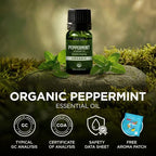 Gya Labs USDA Certified Organic Peppermint Essential Oil - Image 8