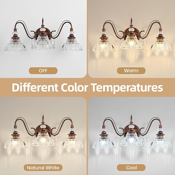 Vintage Bathroom Vanity Light, 3-Light Matte Antique Red Bronze Finish Wall - Image 9
