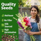 HOME GROWN Hollyhock Chaters Double Mix 2400 Seeds – Holly Hocks Seeds - Image 5