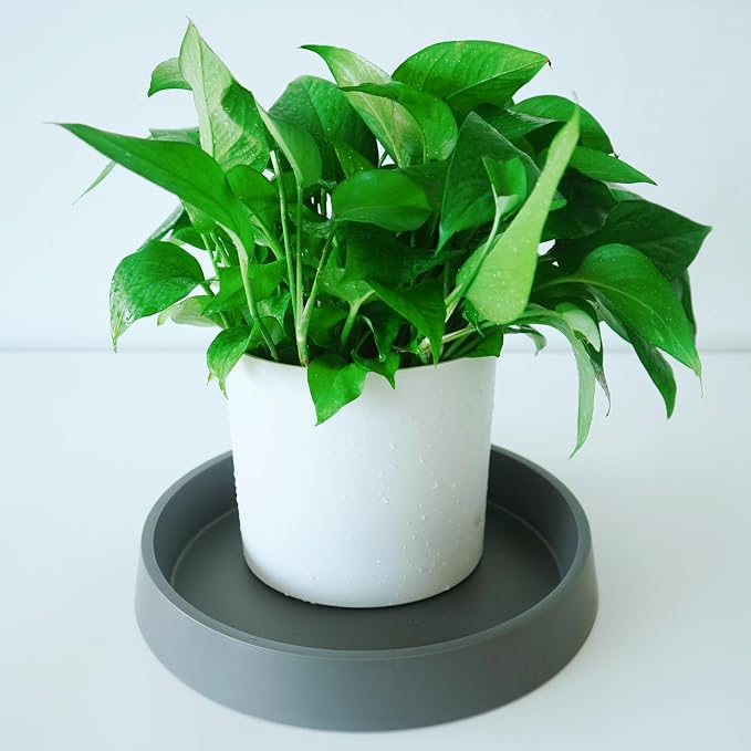 4 Pack Plant Saucer Tray for Ceramic Plastic Pots, 6 inch Plant Saucers for - Image 5