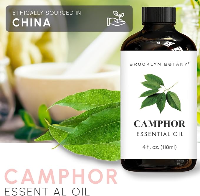 Brooklyn Botany Camphor Essential Oil - Image 4