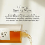Beauty of Joseon Ginseng Essence Water Hydrating Face Toner - Image 2