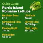 HOME GROWN Parris Island Romaine Lettuce Seeds 7000+ Bulk Pack Heirloom Non-GMO - Image 5