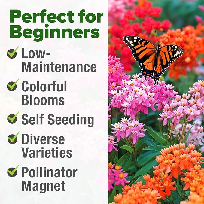 HOME GROWN Milkweed Flower Seeds - Image 5