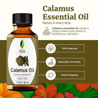SVA Calamus Essential Oil – 1 Fl Oz – 100% Natural Calamus Oil - Image 2