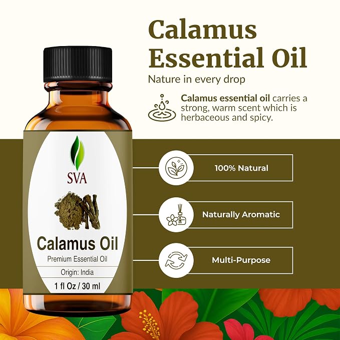 SVA Calamus Essential Oil – 1 Fl Oz – 100% Natural Calamus Oil - Image 2