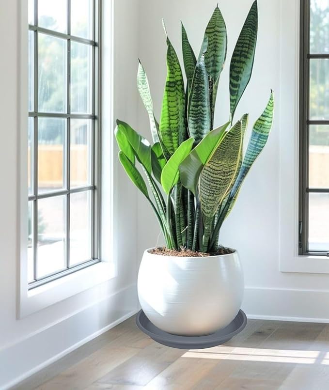 2 Pack of 19 inch Plant Saucer, Large Plant Tray, Heavy Sturdy Plant Drainage - Image 4