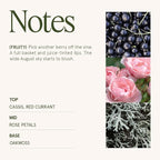 LA JOLIE MUSE Hey Baies Candles - Image 4