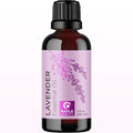 Pure Lavender Essential Oil by MapleHolistics