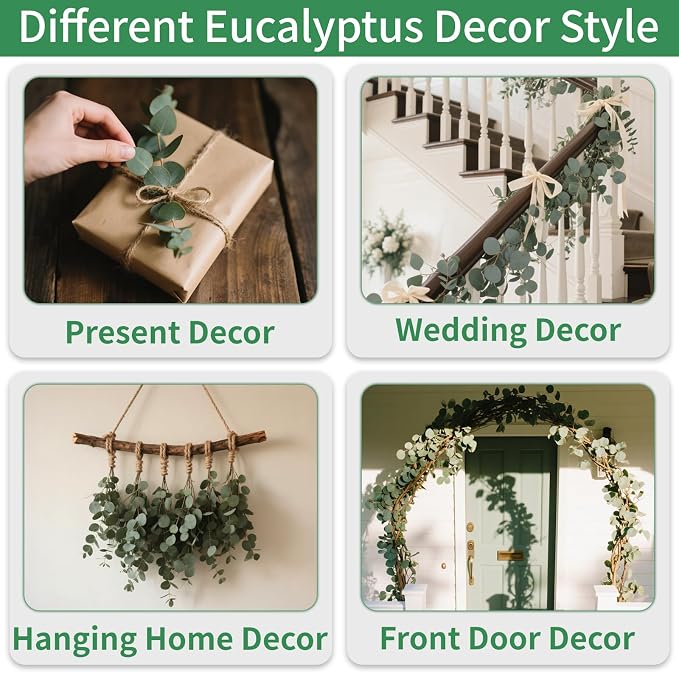 Green Dried Eucalyptus Bundle 12 Pcs Real Stems 17 Inch Fresh Natural - Image 6