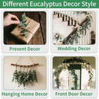 Green Dried Eucalyptus Bundle 12 Pcs Real Stems 17 Inch Fresh Natural - Image 6