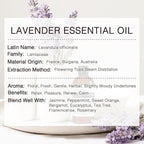 Lavender Essential Oil, Pure & Natural Lavender Oil 100ML, Premium Grade - Image 3