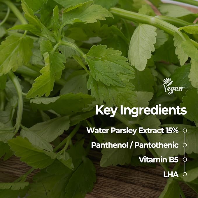 SKINFOOD Pantothenic Water Parsley Clear Toner Pad, Daily Exfoliating Pads - Image 3