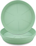 LWALRS Plant Saucer 6 Inch 4 Pack 6 8 10 12 14 16 18 20 25, Plastic Plant Trays by LWALRS