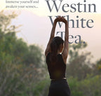 Westin White Tea Room Spray - Image 6
