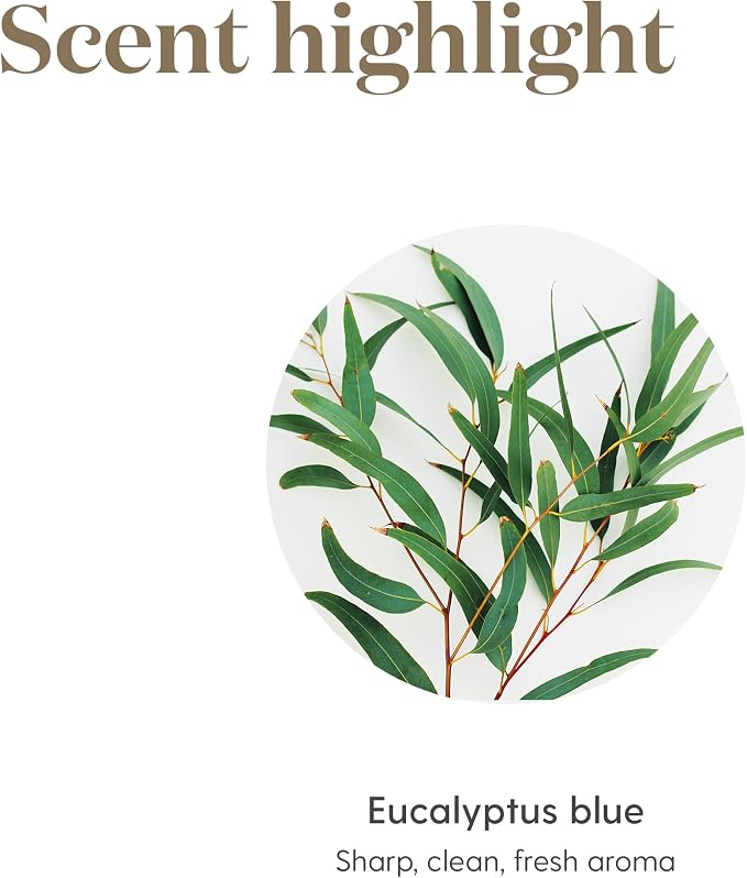 Young Living Eucalyptus Blue Essential Oil | 5 ml | Premium, Invigorating - Image 6