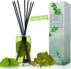 Urban Naturals Eucalyptus Spearmint Stress Relief Aromatherapy Diffuser Gift - Image 2
