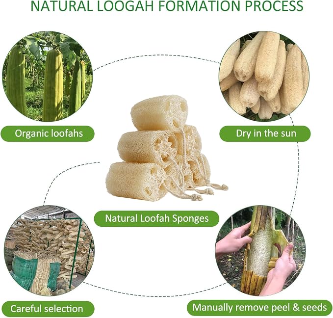 Natural Loofah Sponge, Organic Bath Loofah Pack, Lufas Exfoliating Body Scrubber - Image 2