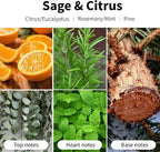 Sage and Citrus Scented Candles, 7oz Soy Wax Candle, Long Lasting Aromatherapy - Image 3