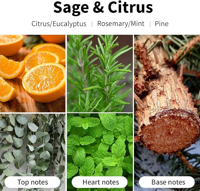 Sage and Citrus Scented Candles, 7oz Soy Wax Candle, Long Lasting Aromatherapy - Image 3
