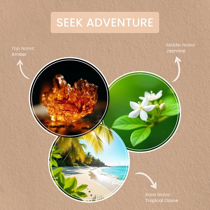 Carolina Seek Adventure Scented Candle, 16 oz Amber & Jasmine Scented, 2 Wick - Image 2