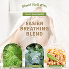 EUQEE Hinoki Essential Oil 118ml/4Fl Oz Pure Japanese Hinoki Oil Premium - Image 8