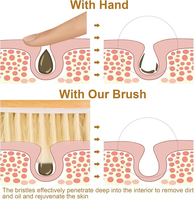 9.8" Dry Brush for Body with Anti-Slip Handle, Wet&Dry Brushing Body Brush for - Image 5