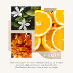 Airkeep Reed Diffuser Set, 3.38 fl oz - Image 6