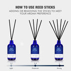 Xcleen July Cotton Reed Diffuser Set, 3.7 Oz Aromatherapy Scented Oil Diffuser - Image 4