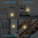 Night Light Plug into Wall Starfish Seashells On Beach Night Light - Image 7